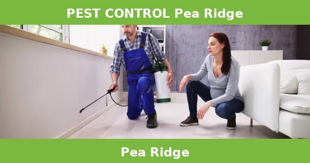 PEST CONTROL Pea Ridge